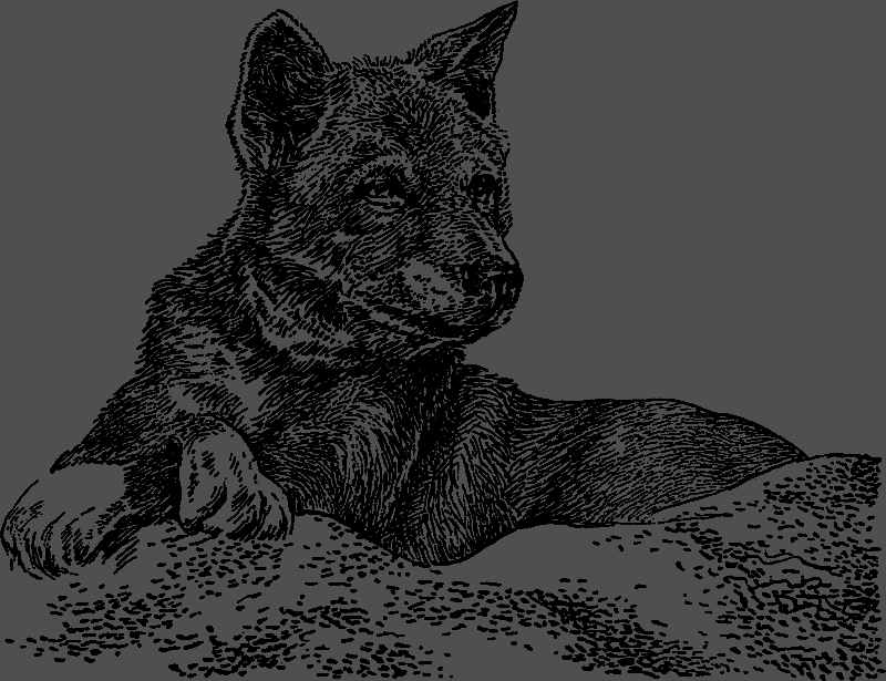 Австралийские этюды i_020.png