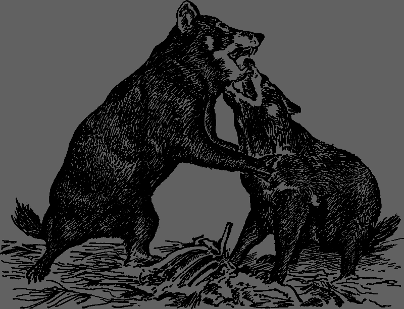 Австралийские этюды i_027.png