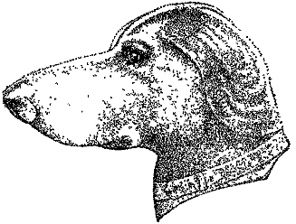 Самые знаменитые головоломки мира pic_80.png