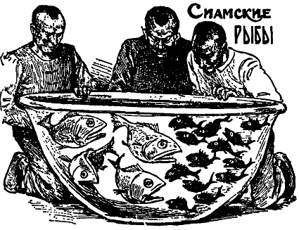 Самые знаменитые головоломки мира pic_87.png