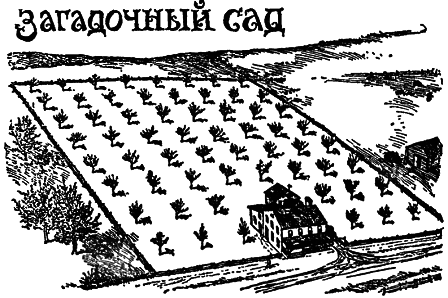 Самые знаменитые головоломки мира pic_137.png
