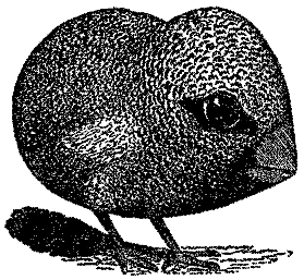 Самые знаменитые головоломки мира pic_166.png