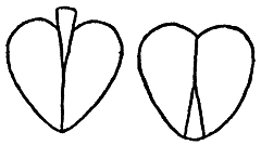Самые знаменитые головоломки мира pic_220.png