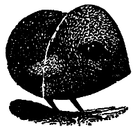Самые знаменитые головоломки мира pic_271.png
