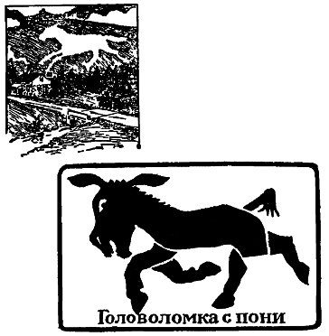 Самые знаменитые головоломки мира pic_36.png