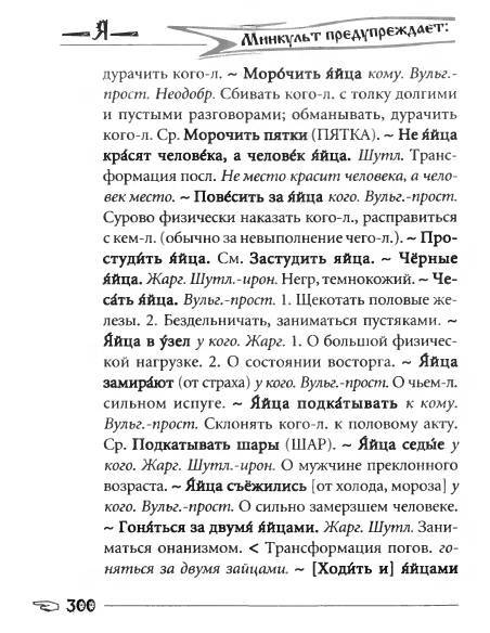 Русское сквернословие. Краткий, но выразительный словарь _300.jpg