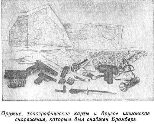 Закатившаяся звезда (с илл.) pic_30.jpg