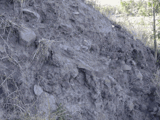 Обитаемый остров Земля i_031.png