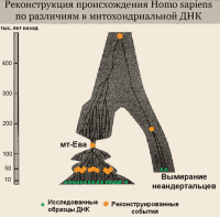 Обитаемый остров Земля i_159.png