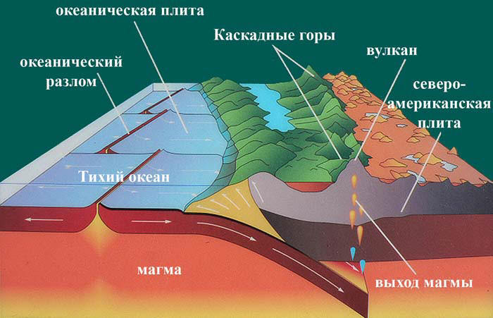Сенсационная история Земли _64.jpg