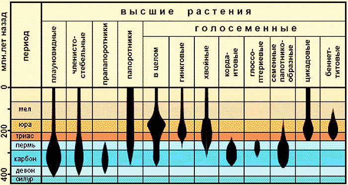Сенсационная история Земли _96.jpg