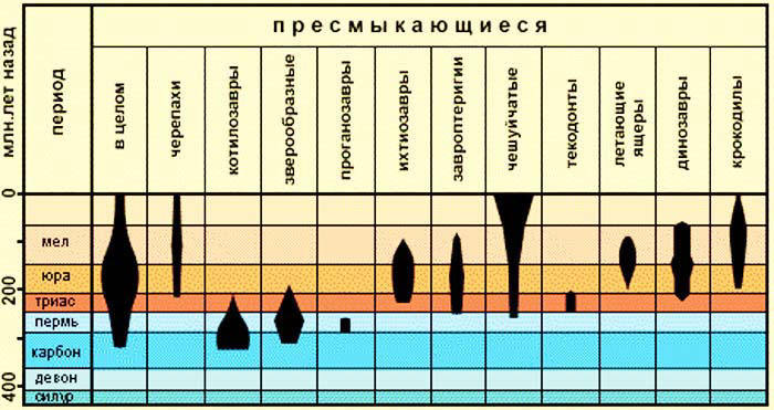 Сенсационная история Земли _98.jpg