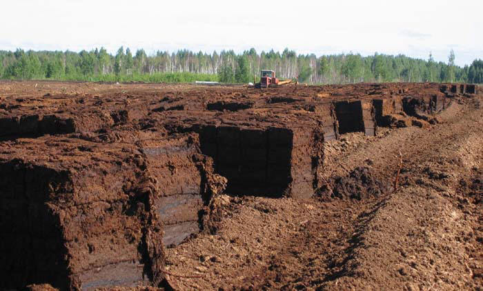 Сенсационная история Земли _114.jpg