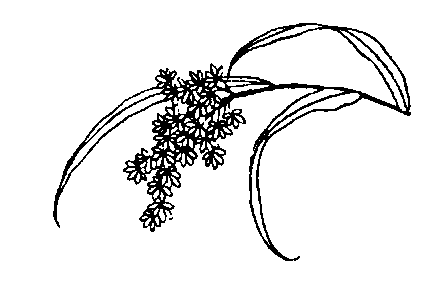 Сексуальная жизнь в древнем Китае i_033.png