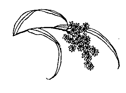 Сексуальная жизнь в древнем Китае i_005.png