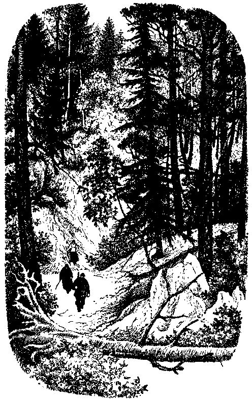 Помни обо мне (с илл.) pic_10.png