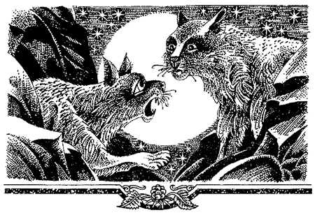 Миссия Огнезвезда. Книга 2. Возрождение i_008.png