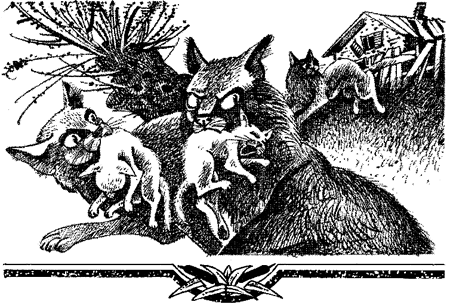 Миссия Огнезвезда. Книга 2. Возрождение i_010.png