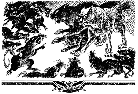 Миссия Огнезвезда. Книга 2. Возрождение i_011.png