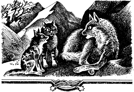 Миссия Огнезвезда. Книга 2. Возрождение i_013.png