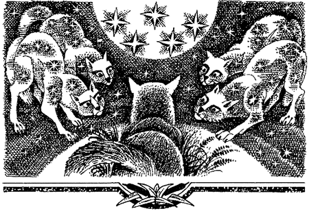 Миссия Огнезвезда. Книга 2. Возрождение i_018.png
