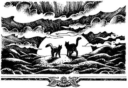 Миссия Огнезвезда. Книга 2. Возрождение i_019.png