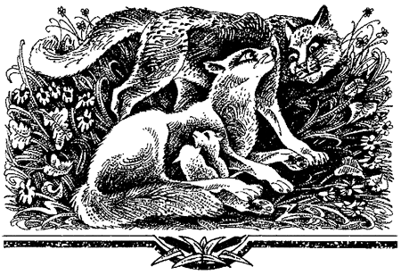 Миссия Огнезвезда. Книга 2. Возрождение i_020.png