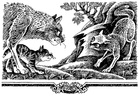 Миссия Огнезвезда. Книга 2. Возрождение i_006.png