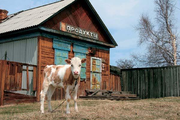 Журнал «Вокруг Света» №11 за 2006 год TAG_img_cmn_2007_03_03_047_jpg975737