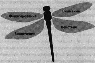 Эффект стрекозы : Все об улетных промо-кампаниях в социальных сетях i_008.png