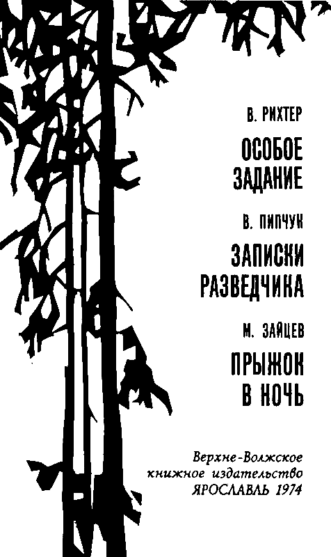 Прыжок в ночь pic_1.png