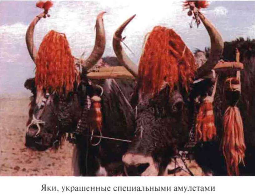 Тибетская экспедиция СС. Правда о тайном немецком проекте i_022.jpg