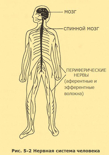 Верните себе здравомыслие. Применяя нестандартный подход общей семантики i_009.jpg