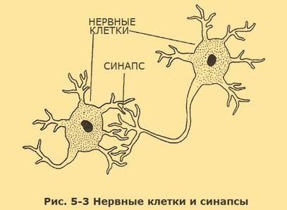 Верните себе здравомыслие. Применяя нестандартный подход общей семантики i_010.jpg