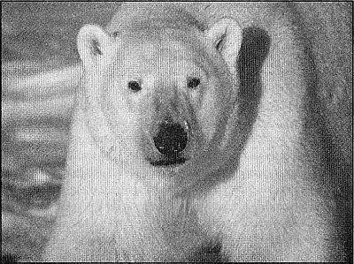 100 великих рекордов живой природы i_087.jpg