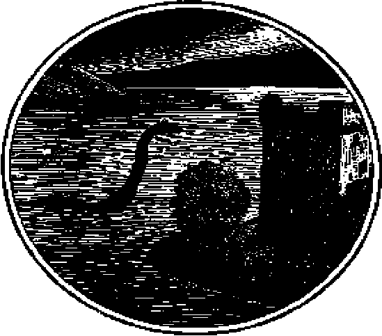Лох-Несс и озерные чудовища i_030.png