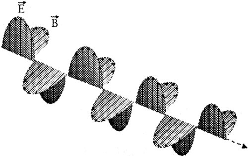 Последний элемент img12.jpg
