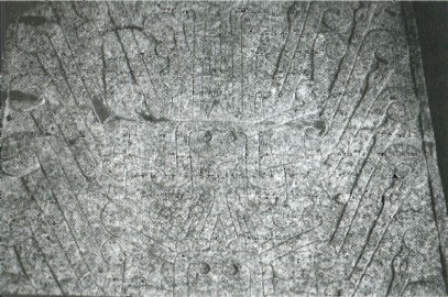 История ошибочна i_014.jpg