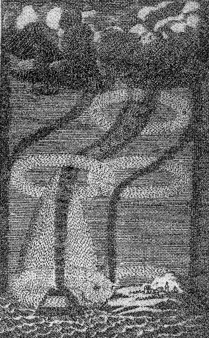 Veritas pic_8.png