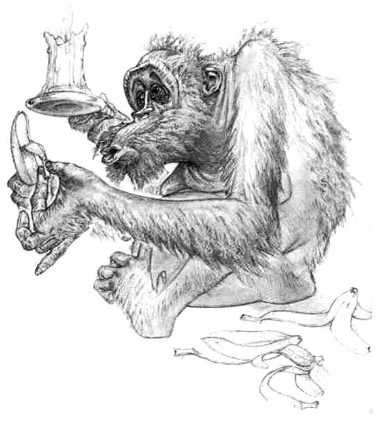 Поваренная книга Нянюшки Огг pic26.jpg