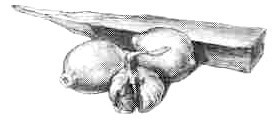 Поваренная книга Нянюшки Огг pic57.jpg