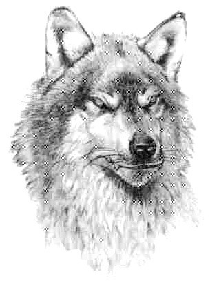 Поваренная книга Нянюшки Огг pic58.jpg