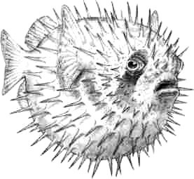 Поваренная книга Нянюшки Огг pic7.jpg