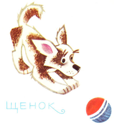 Ракета и самовар (с илл.) i_006.jpg