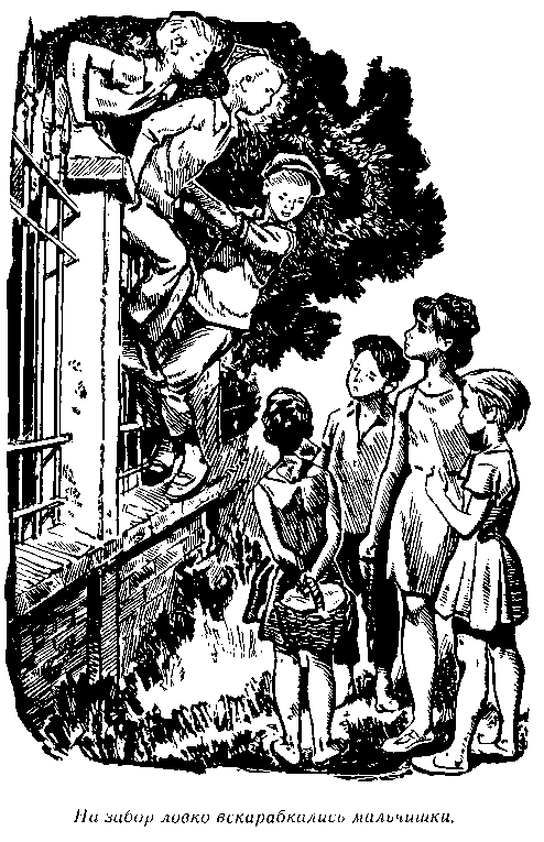 Большой оркестр. Сколько лет тебе, комиссар? (с илл.) pic_13.png