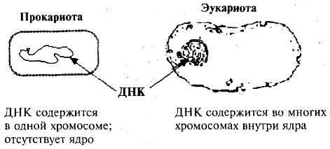 Пять нерешенных проблем науки i_0231.JPG_0