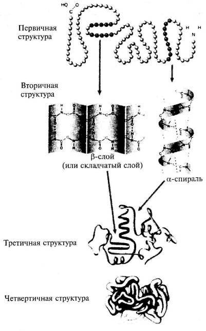 Пять нерешенных проблем науки i_029.jpg
