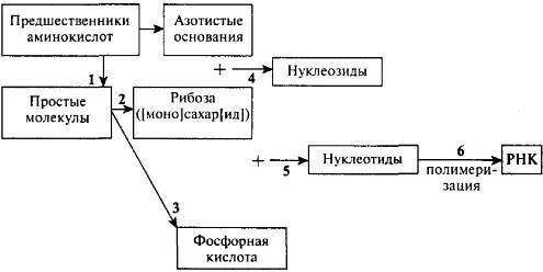 Пять нерешенных проблем науки i_031.jpg