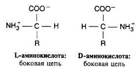 Пять нерешенных проблем науки i_034.jpg