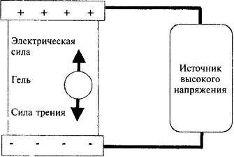 Пять нерешенных проблем науки i_046.jpg